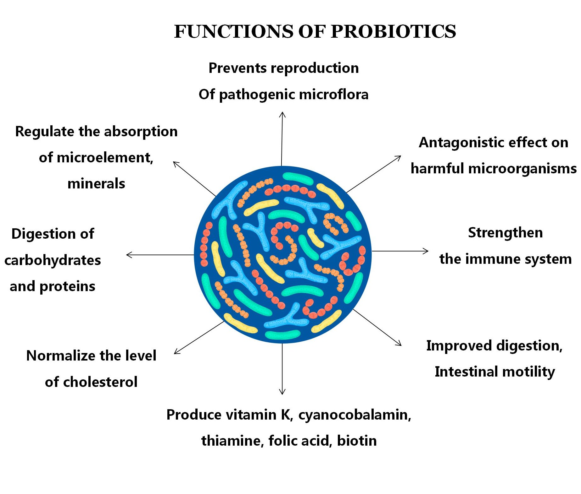 Probiotika Lebensmittelqualität Probiotische Pulver-Bulk-Lebensmittel Lactobacillus Probiotika Pulver Bifidobacterium lactis